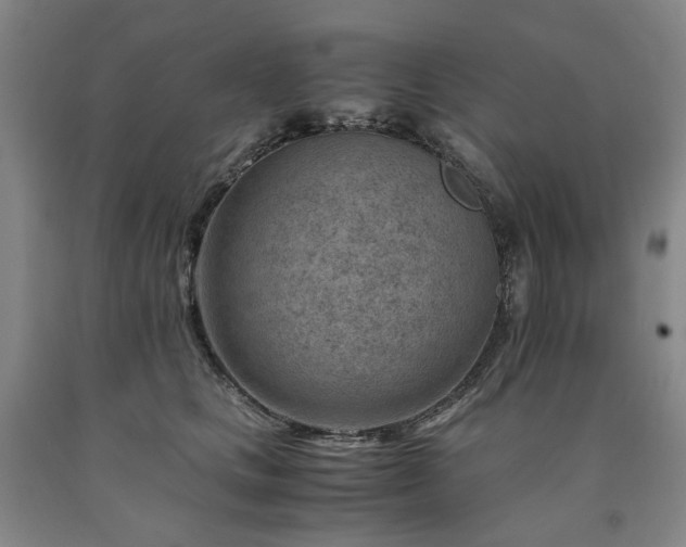 X0000090880661200707271312