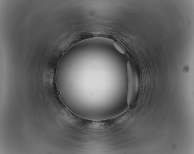 X0000090880664200707271312