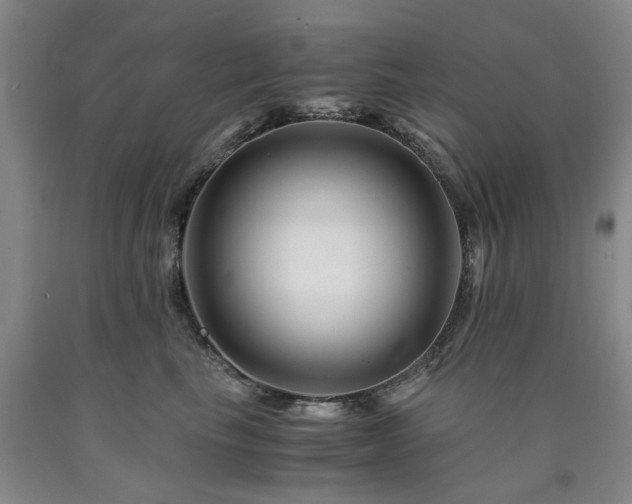 X0000090880665200707271312