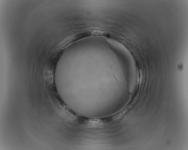 X0000090880666200707271312