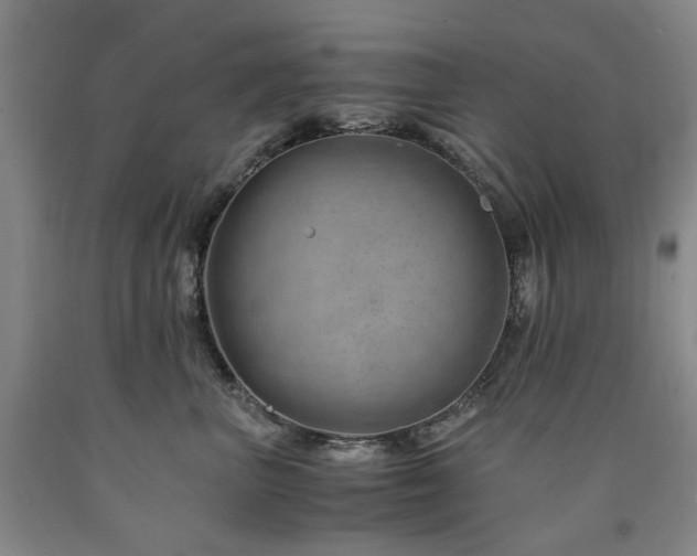X0000090880667200707271313