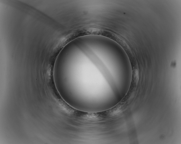 X0000090880668200707271313