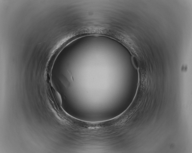 X0000090880674200707271312