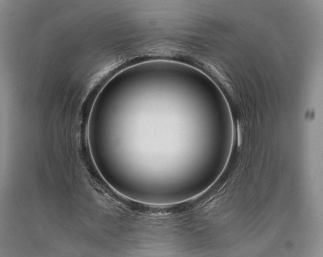 X0000090880675200707271312