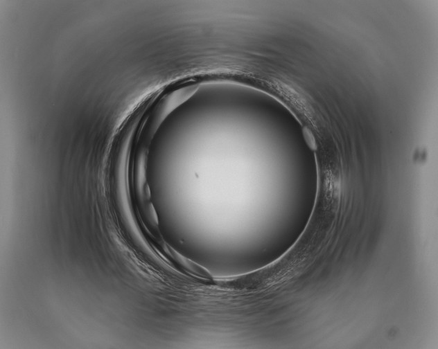 X0000090880676200707271312