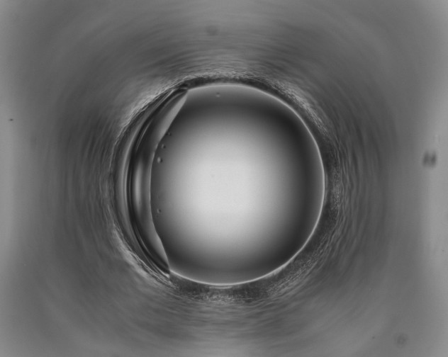 X0000090880677200707271312