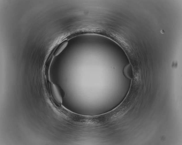 X0000090880678200707271312