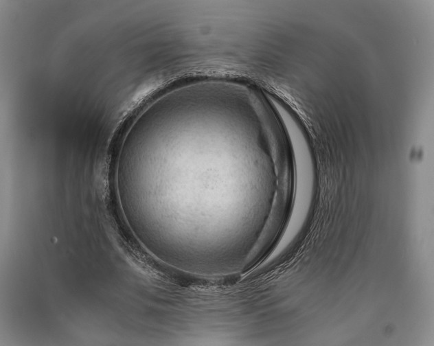 X0000090880679200707271312