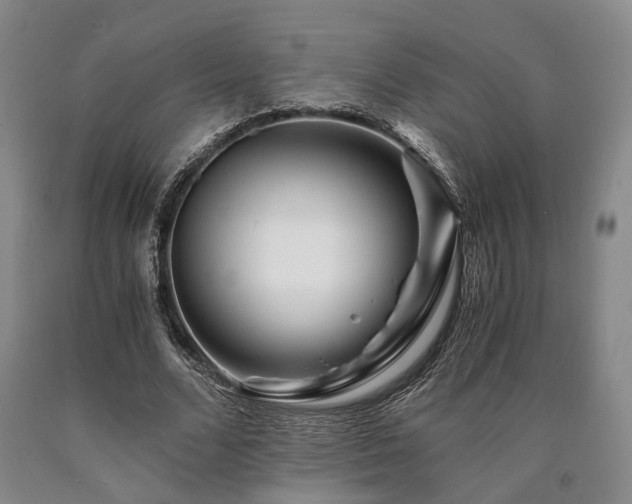X0000090880680200707271312