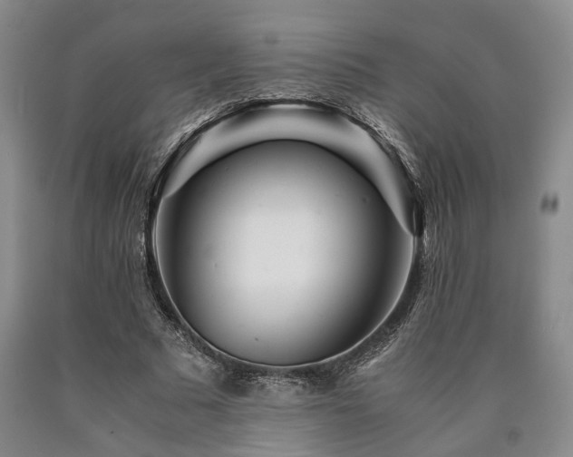 X0000090880681200707271312