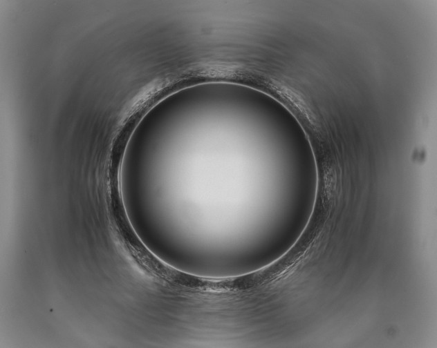 X0000090880682200707271312