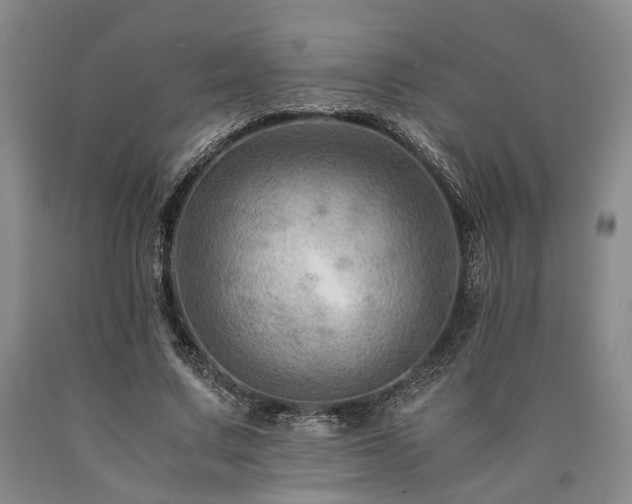 X0000090880683200707271312