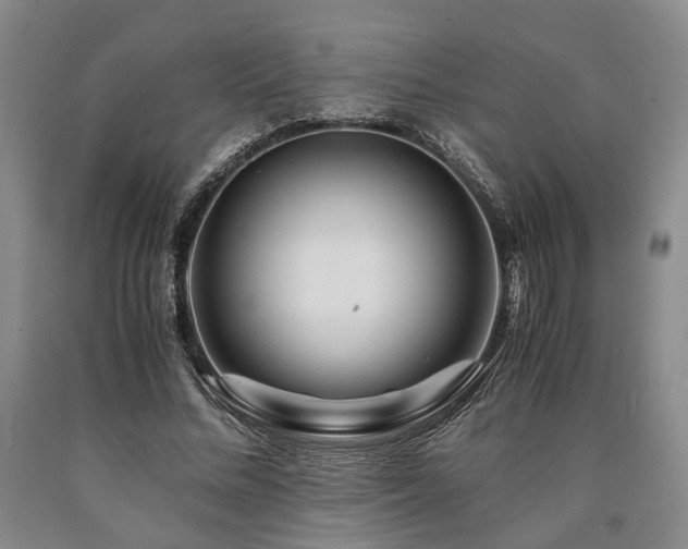 X0000090880684200707271312