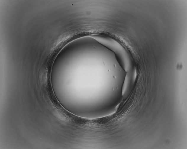 X0000090880685200707271312