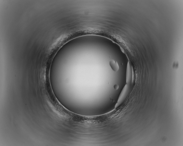 X0000090880686200707271312