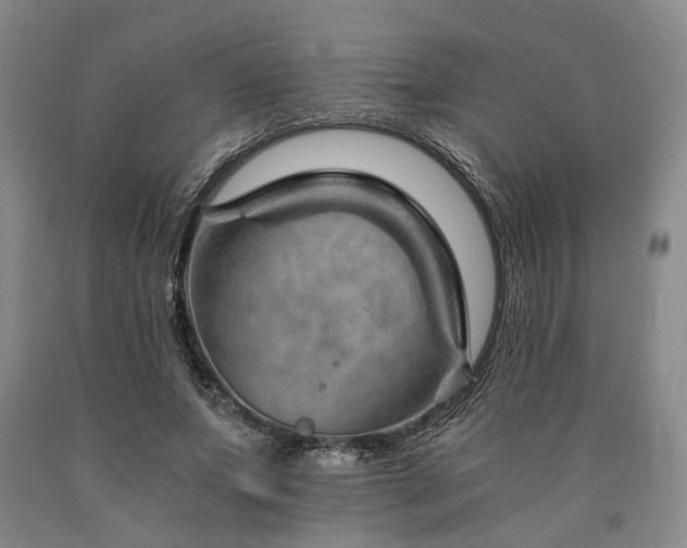 X0000090880687200707271312