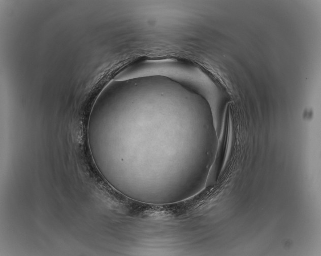 X0000090880689200707271312
