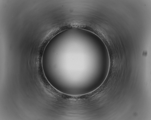 X0000090880690200707271312