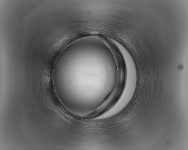 X0000090880691200707271312