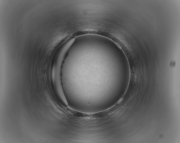 X0000090880692200707271312