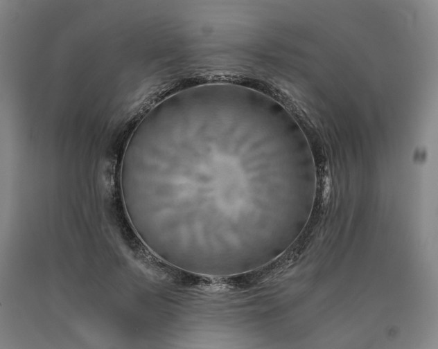 X0000090880695200707271312