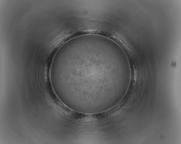 X0000090880696200707271312