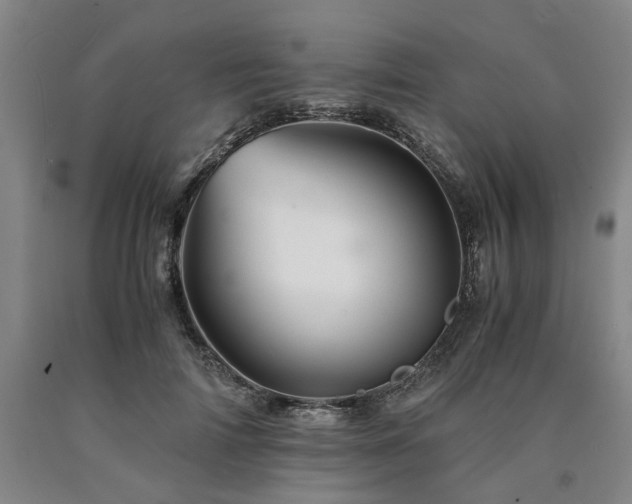 X0000090880698200707271311