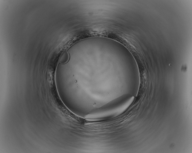 X0000090880699200707271311