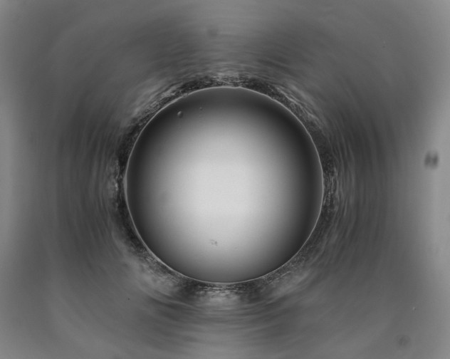 X0000090880702200707271311