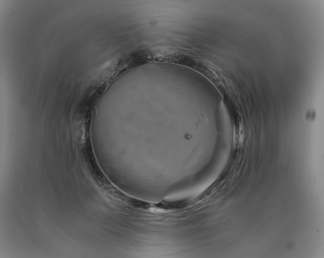 X0000090880703200707271311