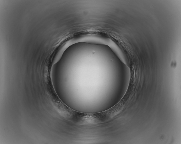 X0000090880704200707271311