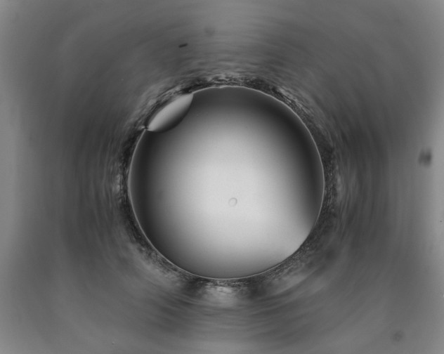 X0000090880706200707271311