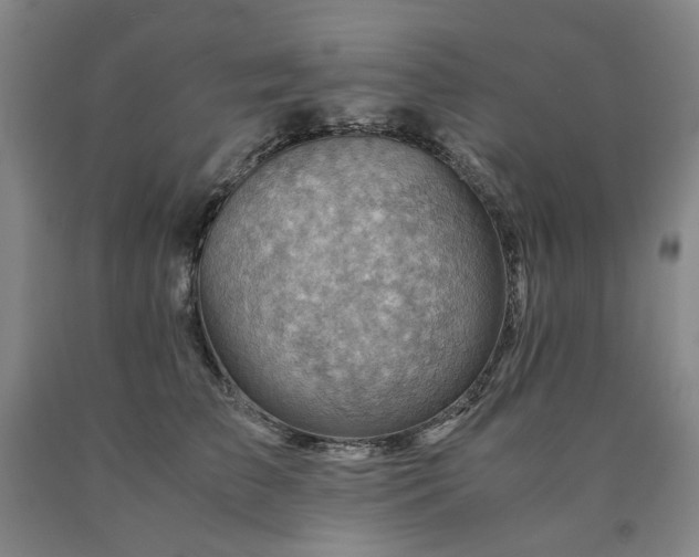 X0000090880709200707271311