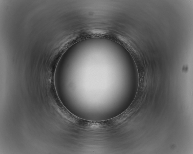 X0000090880710200707271311