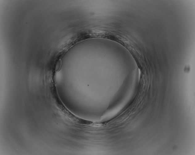 X0000090880711200707271311