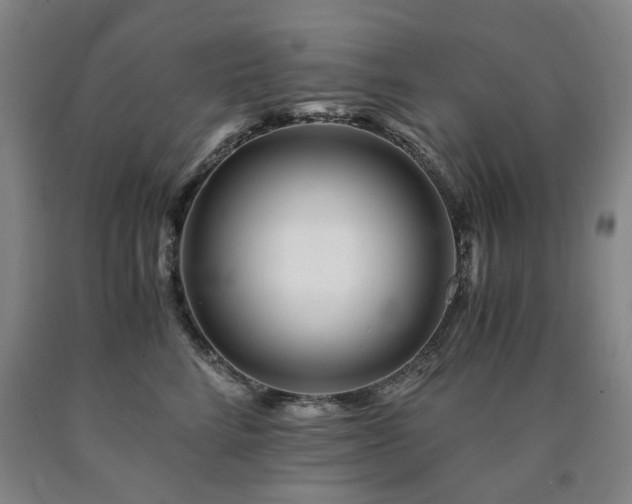 X0000090880712200707271311