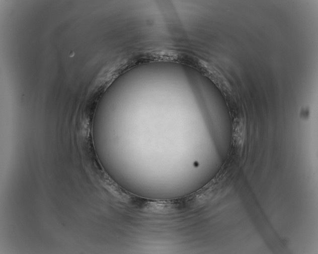 X0000090880713200707271311