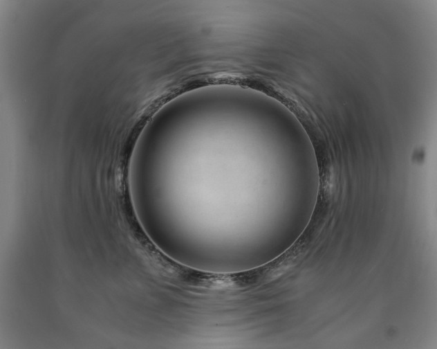X0000090880715200707271311