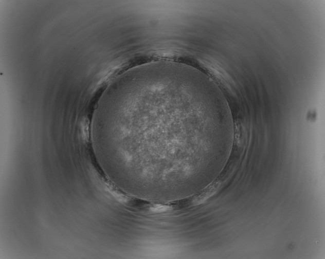 X0000090880718200707271311