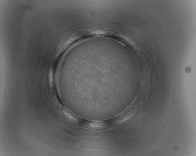 X0000090880720200707271311