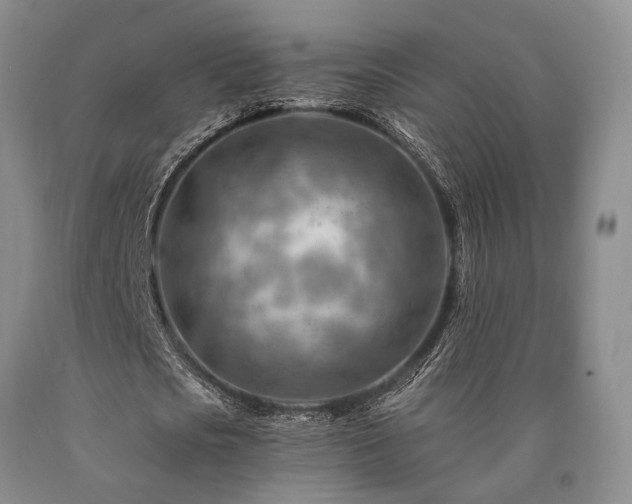 X0000090880721200707271310