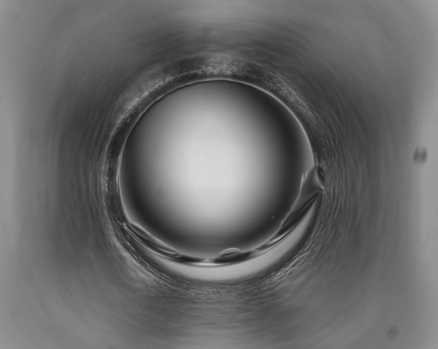 X0000090880722200707271310