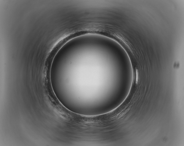 X0000090880723200707271310