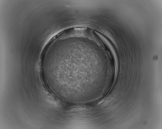 X0000090880724200707271311