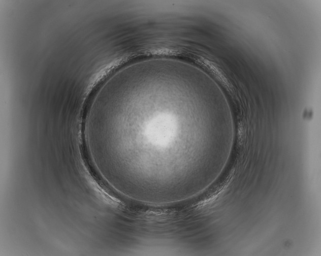 X0000090880725200707271311