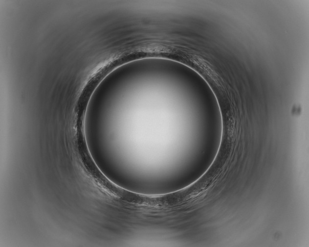 X0000090880727200707271311