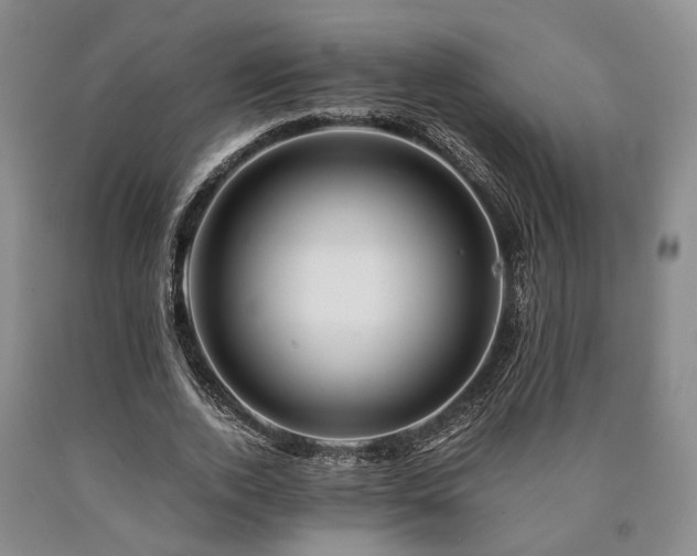 X0000090880728200707271311