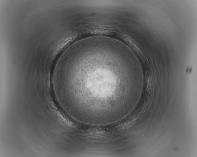 X0000090880729200707271311