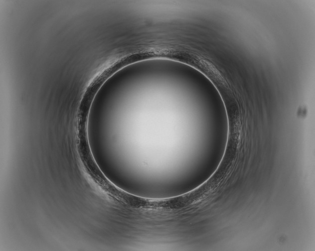 X0000090880730200707271311