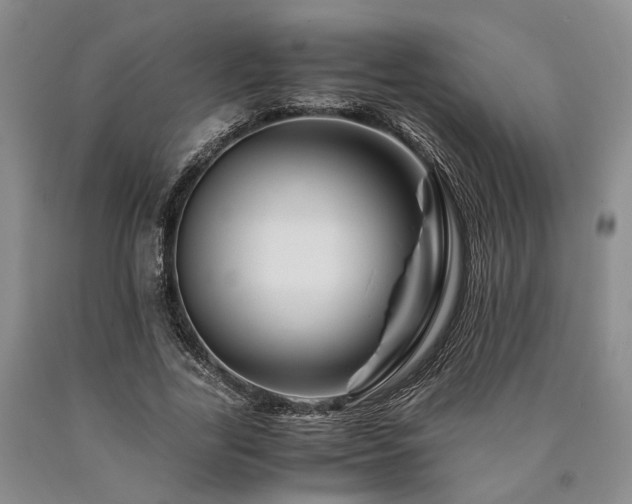 X0000090880731200707271311